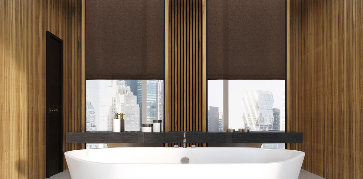 Elegant Window roller Shade